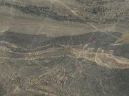 Керамогранит 3240х1620х12 JATOBA BROWN 4D Lapped (SapienStone)